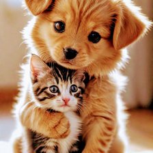 Схема вышивки «Дружба»