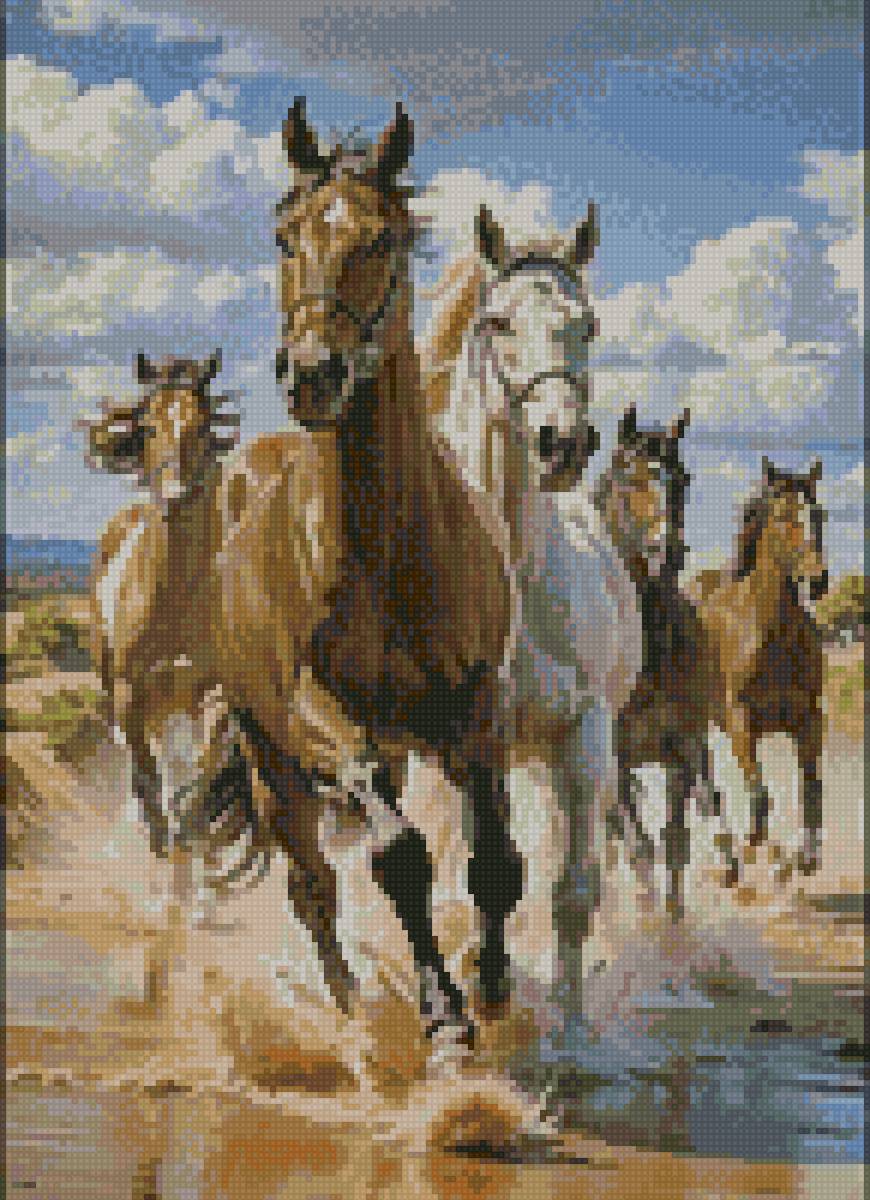 Лошади - предпросмотр