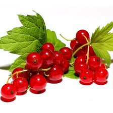 Схема вышивки «красная смородина»