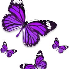 Схема вышивки «бабочки»