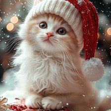 Схема вышивки «Котик»