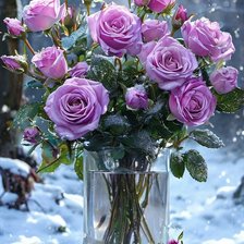 Схема вышивки «Розы зимние»