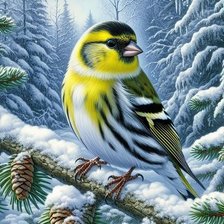 Схема вышивки «птицы»