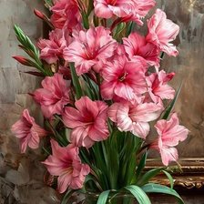 Схема вышивки «Гладиолусы.»