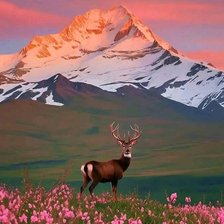 Схема вышивки «deer 1»