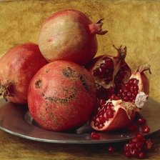 Схема вышивки «Гранаты»