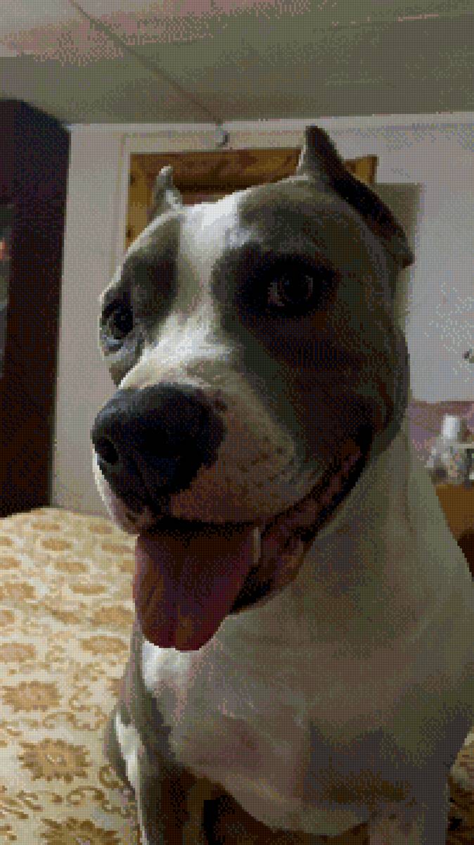 макс - предпросмотр