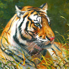 Схема вышивки «Тигр»