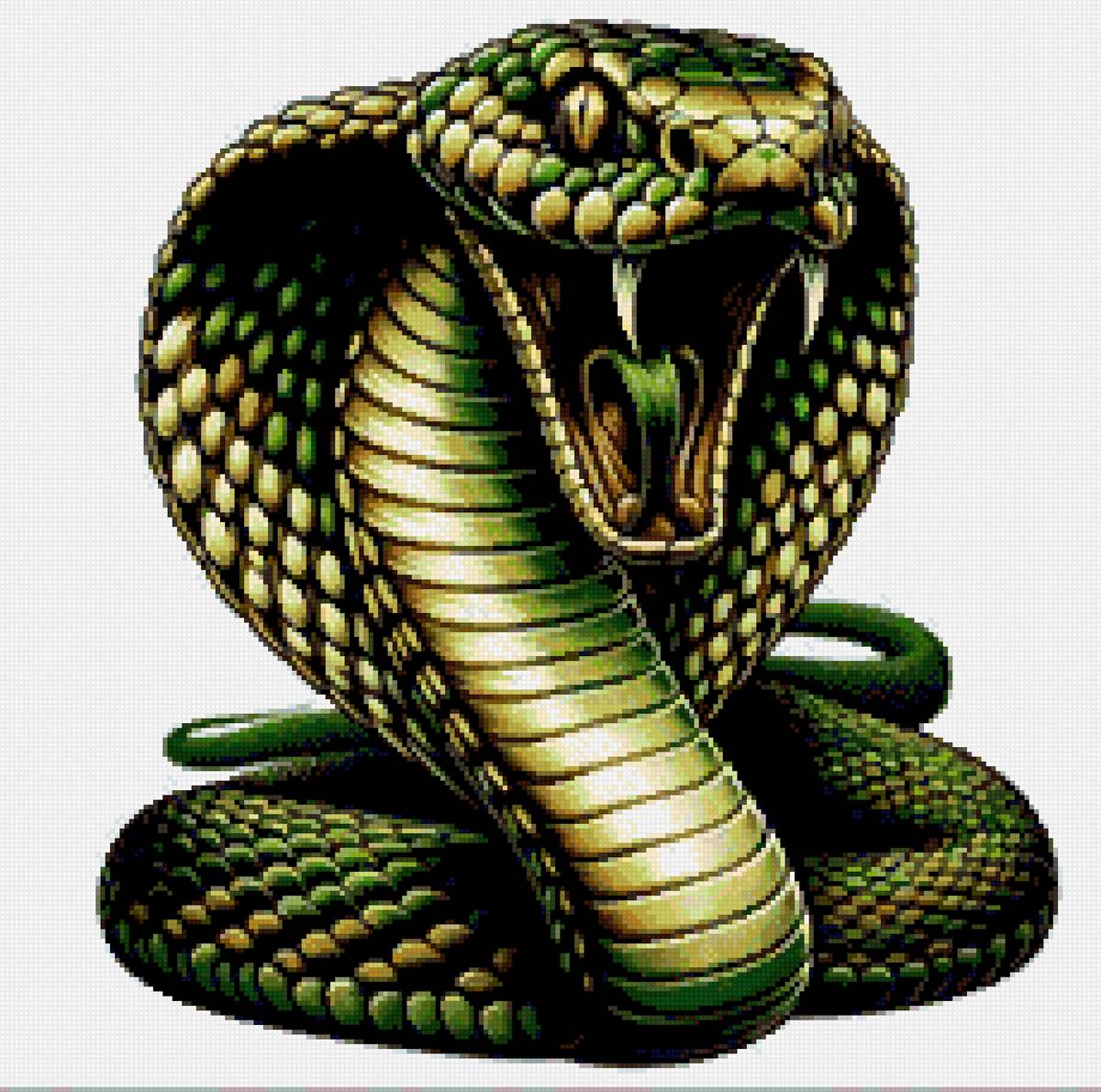 Земноводные - змея - предпросмотр