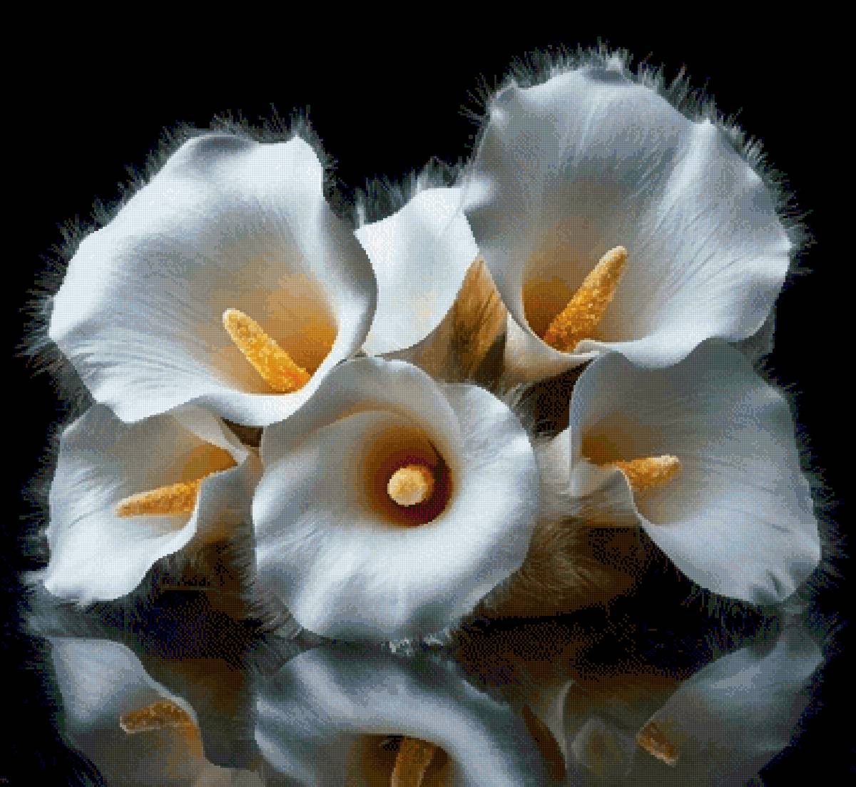 №2850671 - предпросмотр