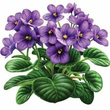 Схема вышивки «Цветы»