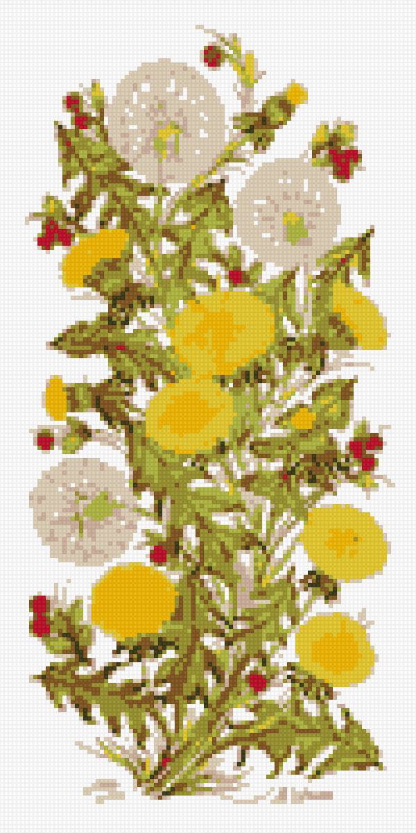 одуванчик - предпросмотр