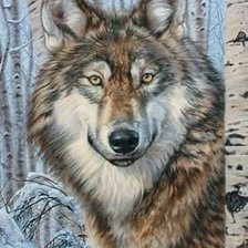 Волк. Рисунок цветным карандашом