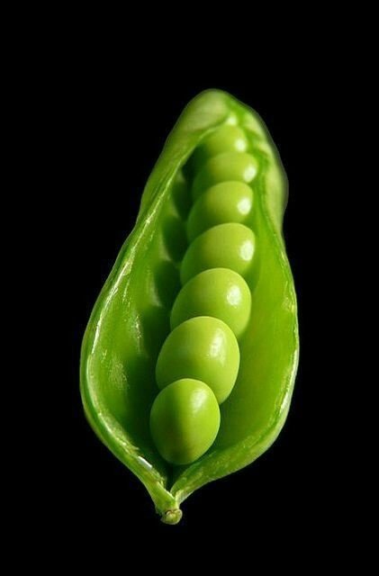 Горошек - овощи, горох, на черном фоне - оригинал