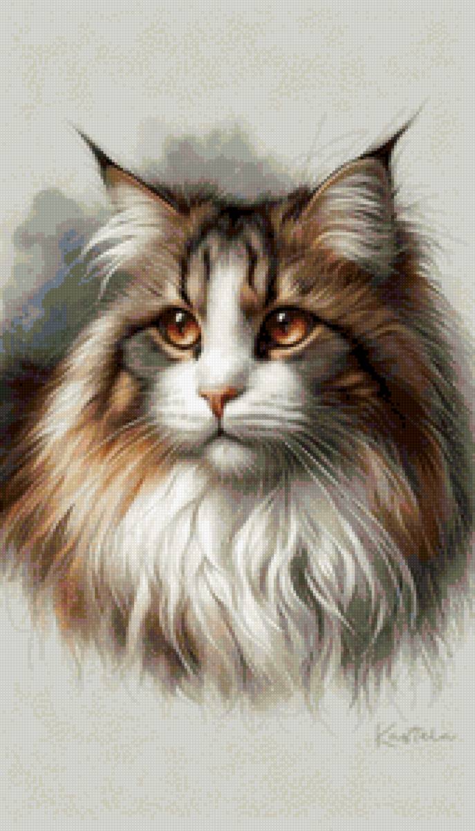 кошка - кот - предпросмотр