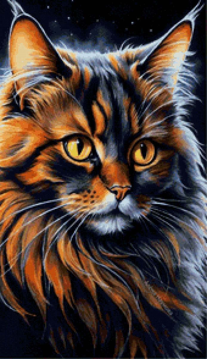 кот - кот - предпросмотр