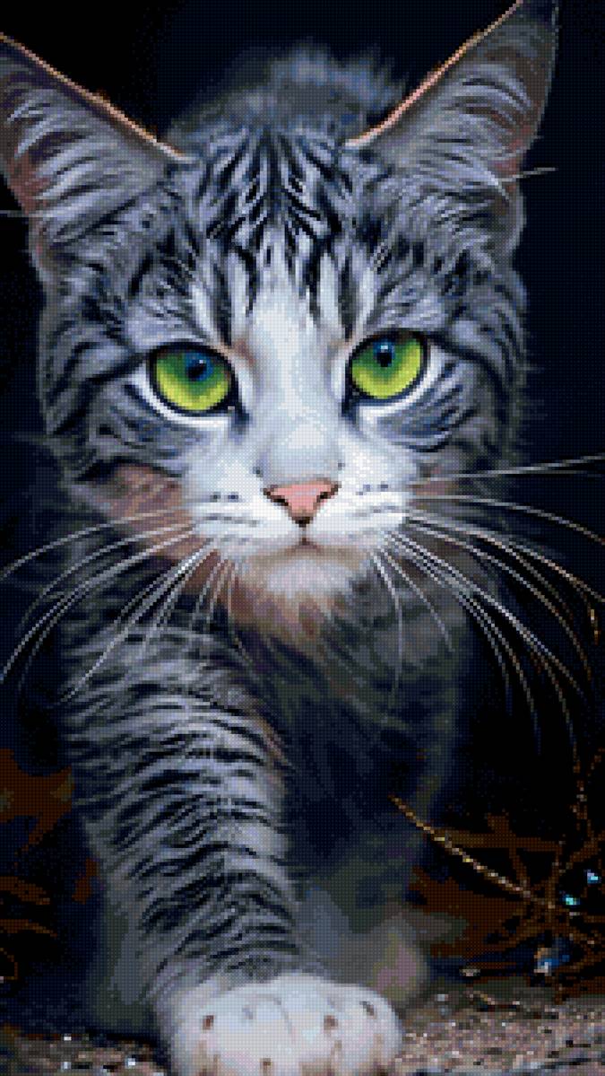 кот - кот - предпросмотр