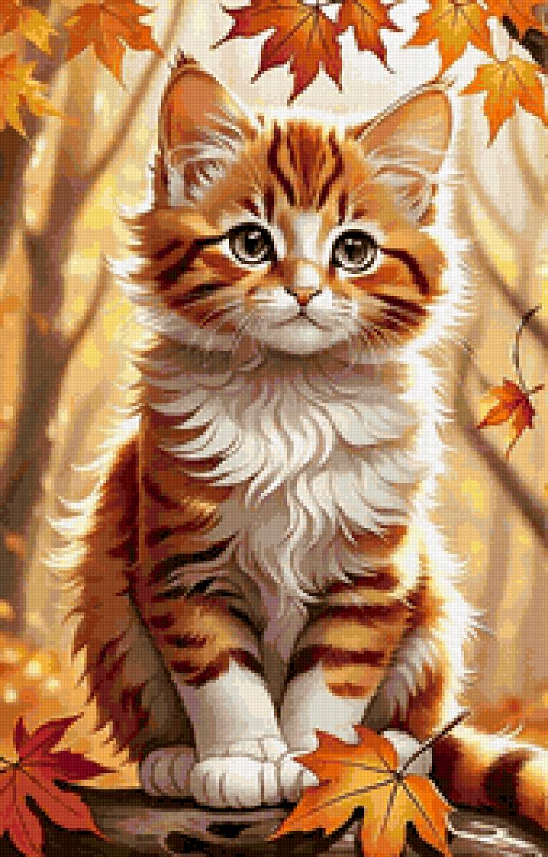 кот - кот - предпросмотр