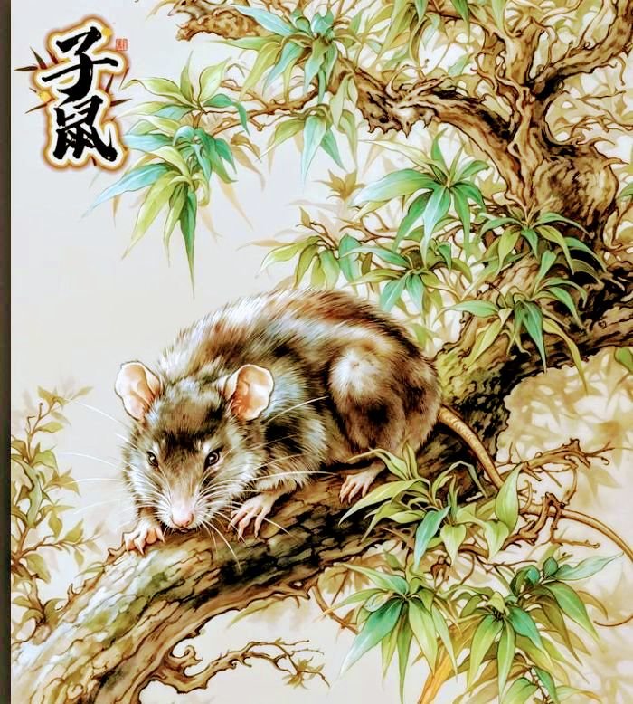 Китай - мышь - оригинал
