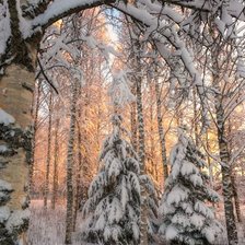 Схема вышивки «№2852427»