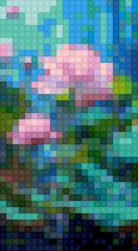 Hoa sen - предпросмотр