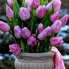 Схема вышивки «Тюльпаны»