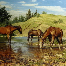 Схема вышивки «Лошади на водопое. Александр Булаков»