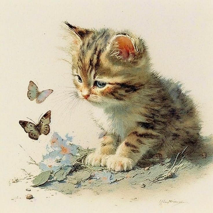 Котёнок - котенок - оригинал