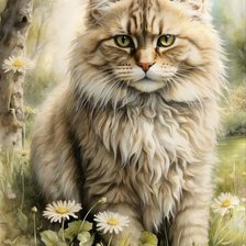 Схема вышивки «кот»