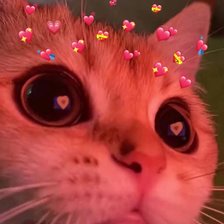 Схема вышивки «котик»