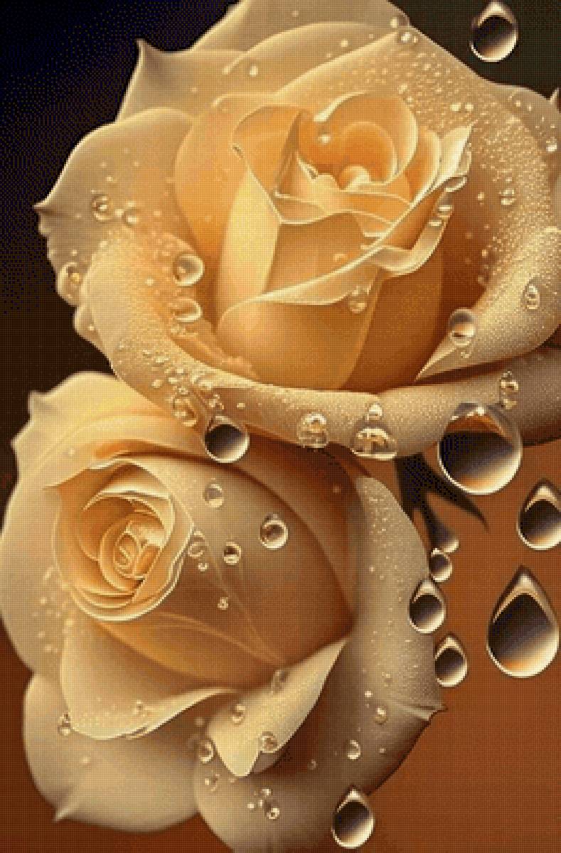 №2854095 - предпросмотр