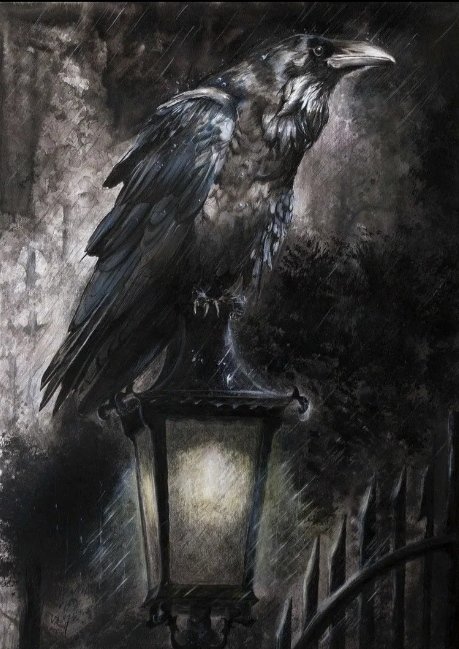 Чёрный ворон - фонарь, птицы, дождь, ворон - оригинал