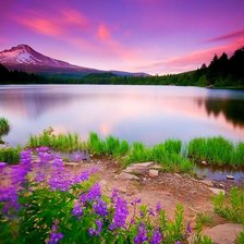 Схема вышивки «Пейзаж»