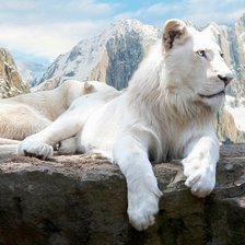 Схема вышивки «№2855222»