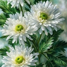 Схема вышивки «Хризантемы»