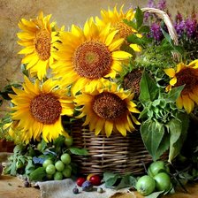 Схема вышивки «подсолнухи»