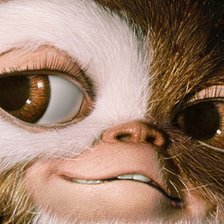 Схема вышивки «Гизмо»