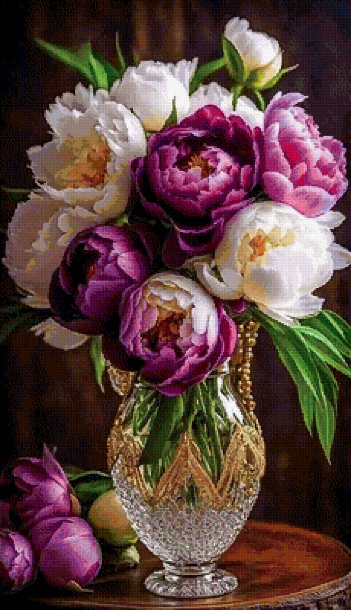 пионы - предпросмотр