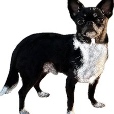 Схема вышивки «Арчибальд»