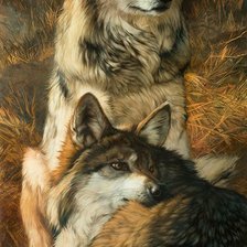 Схема вышивки «Волчье семейство. Джули Белл»