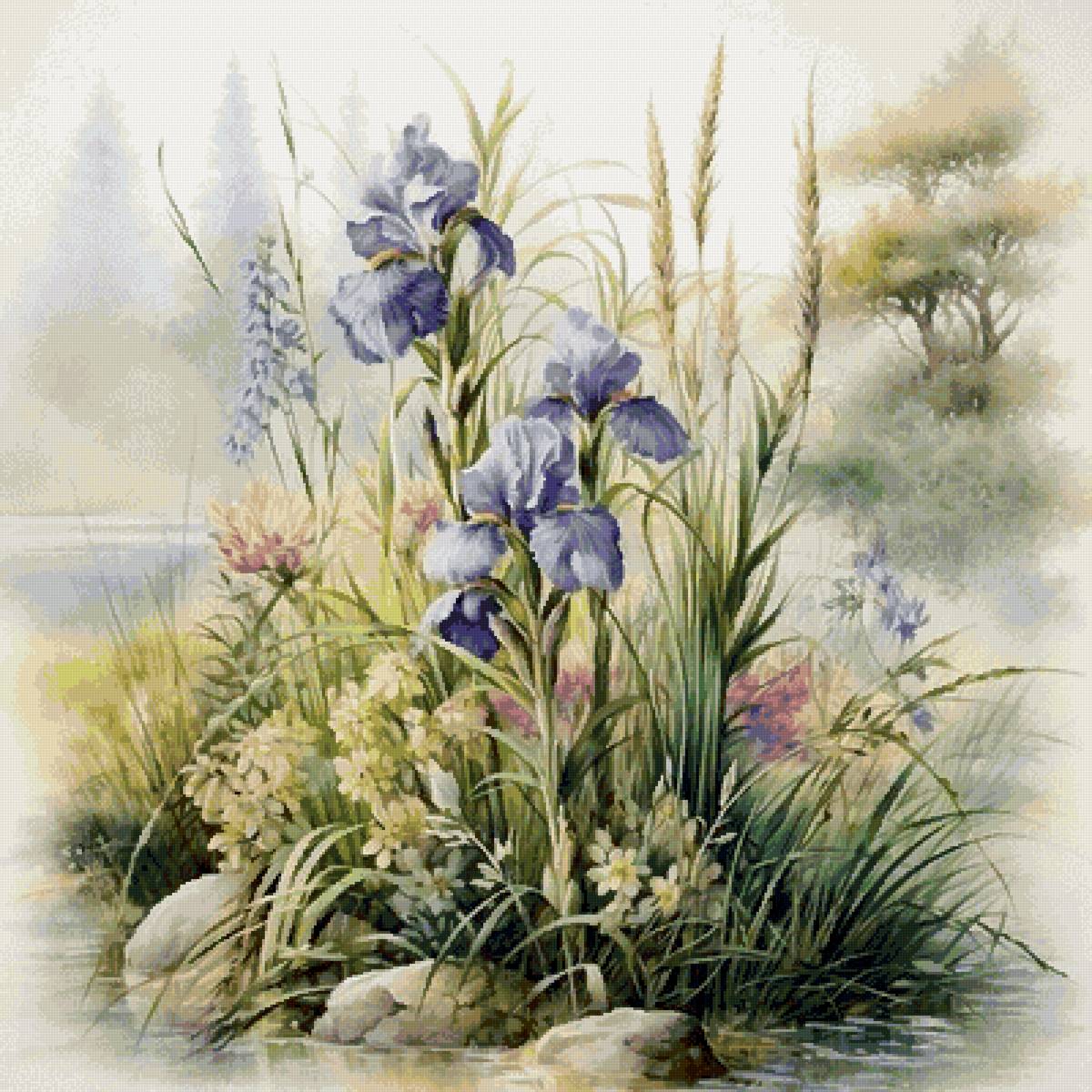 №2857209 - ирисы - предпросмотр