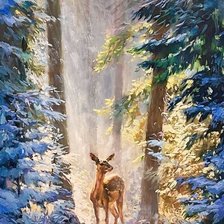 в лучах солнца.