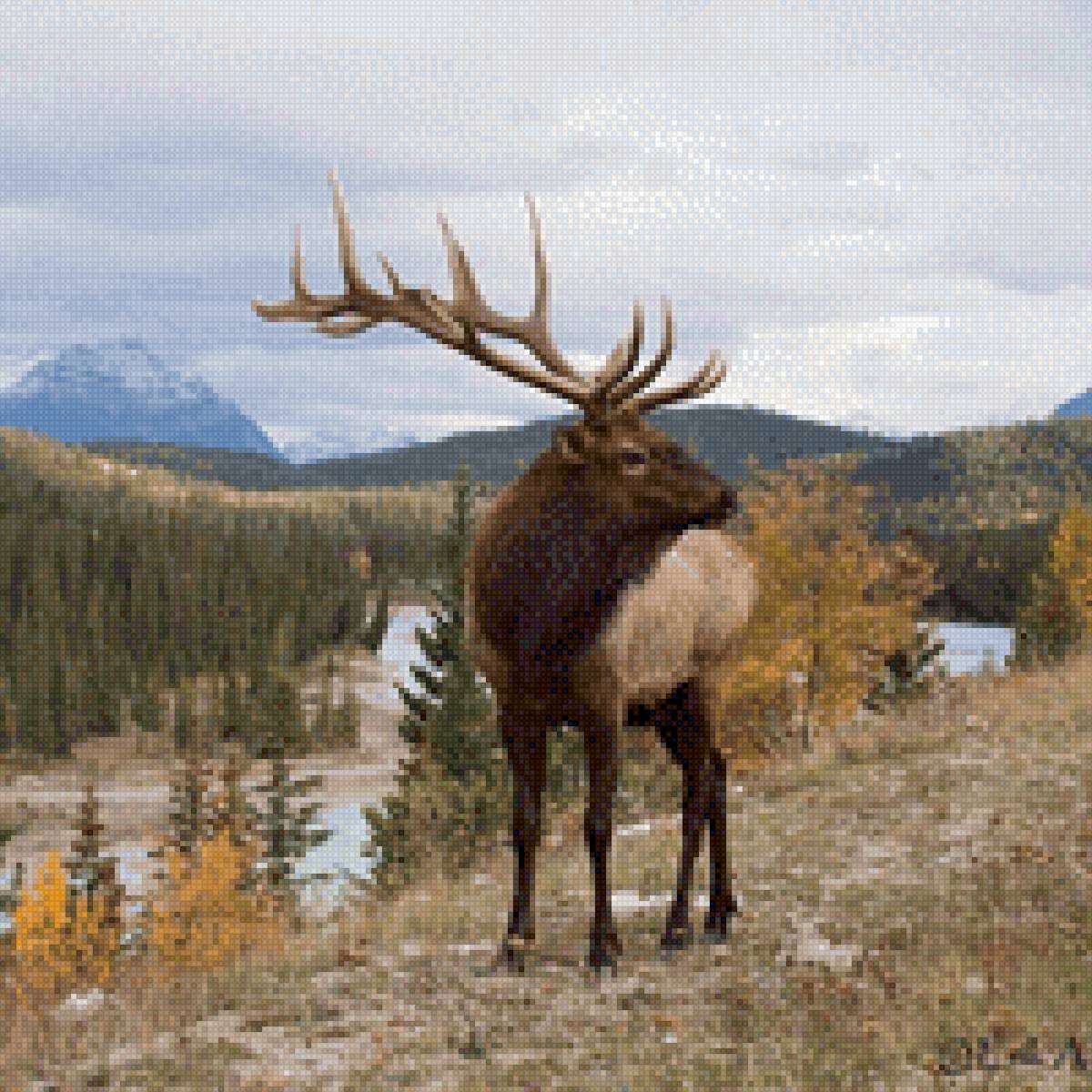 Благородный олень - осень, природа, колыма, олень - предпросмотр