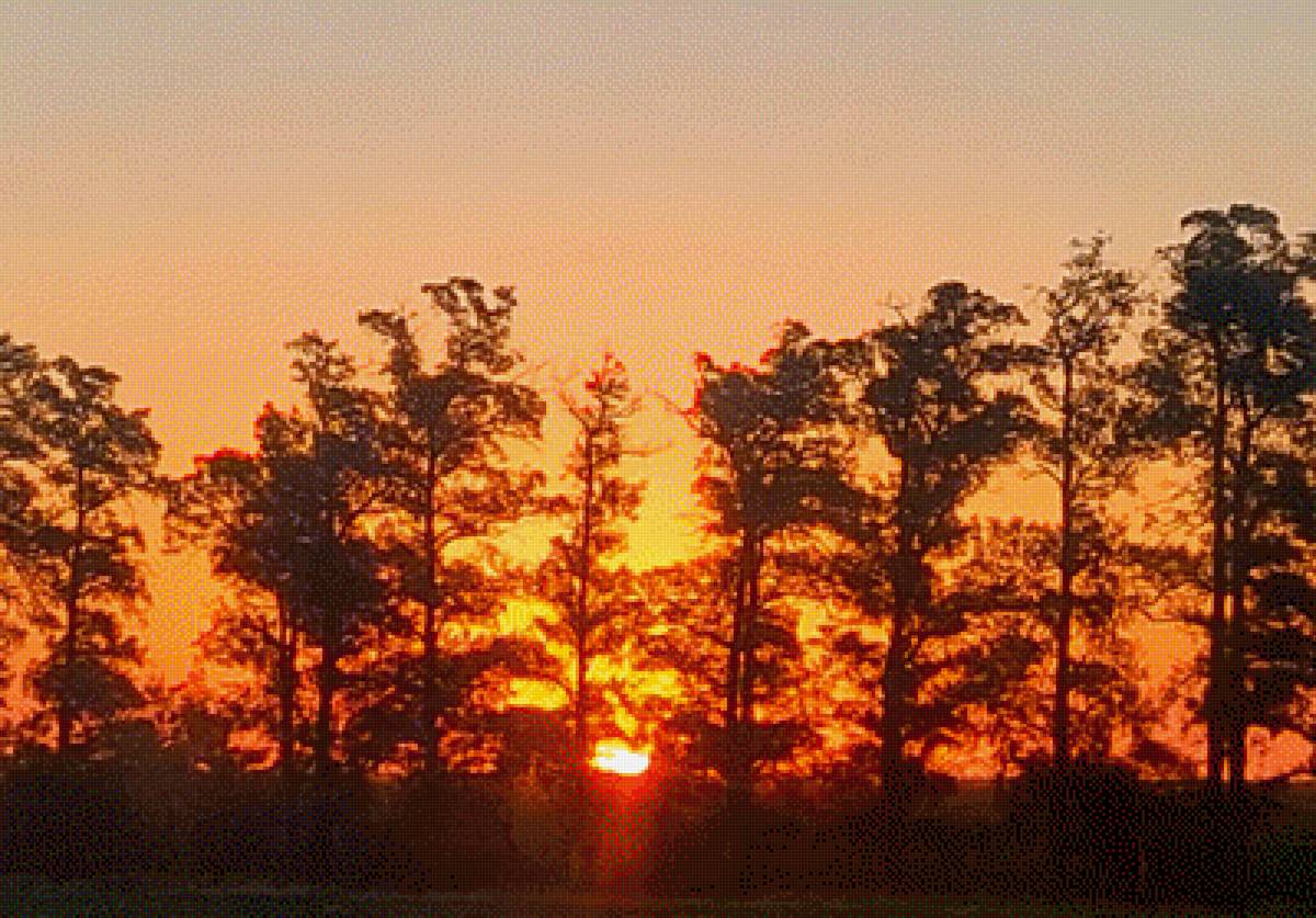 Atardecer en colectivo - предпросмотр