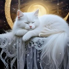 Схема вышивки «Спящий белый котик»