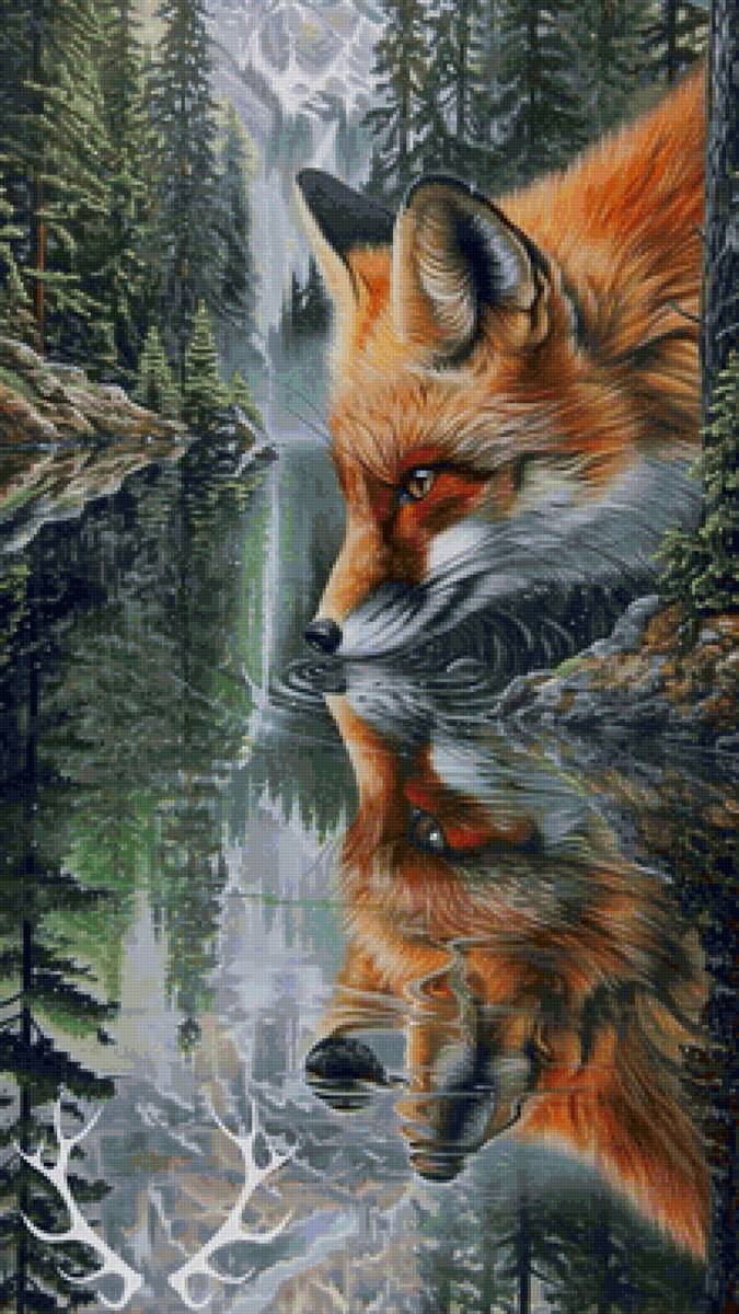 лис - лис - предпросмотр