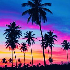 Схема вышивки «пальмы»