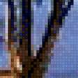 Предпросмотр схемы вышивки «Ночь» (№2859544)