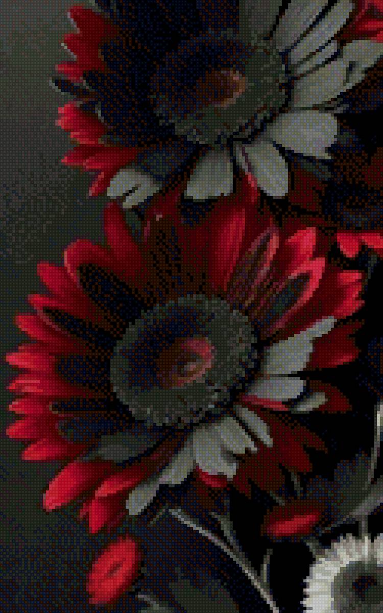 Герберы - предпросмотр