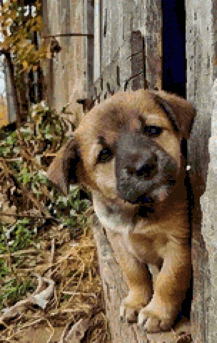 малыш - предпросмотр